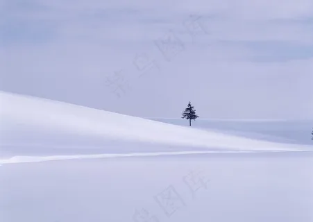 冰天雪地 309 冰天雪地 309