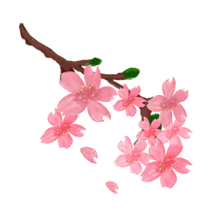 春天浪漫粉红色樱花手绘樱花梅花桃花花朵图片PNG免扣素材