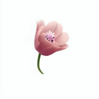 粉色花朵免扣元素