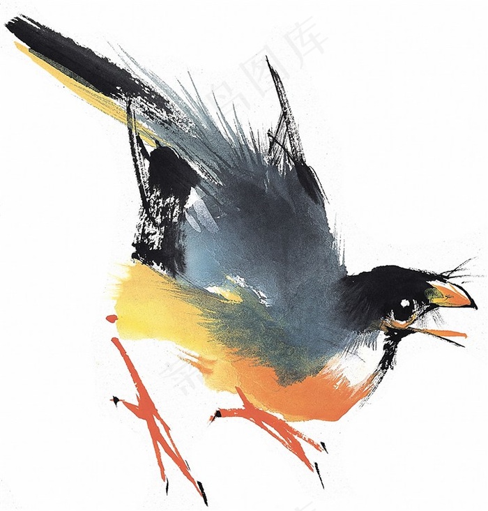 鸟禽系列图片素材