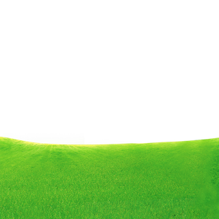 绿色草场现代农业