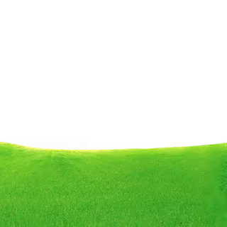 绿色草场现代农业