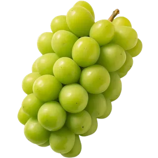 葡萄免抠素材、葡萄素材⑨