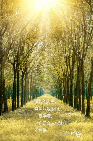 早安正能量文字图片