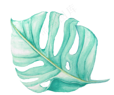 水彩插画-树叶4 水彩插画-树叶4