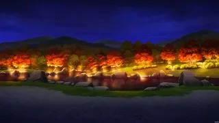 五光十色的图931