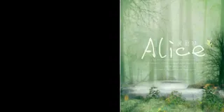 爱丽丝照片排版相册影集