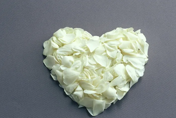 图片设计素材背景2.14情人节