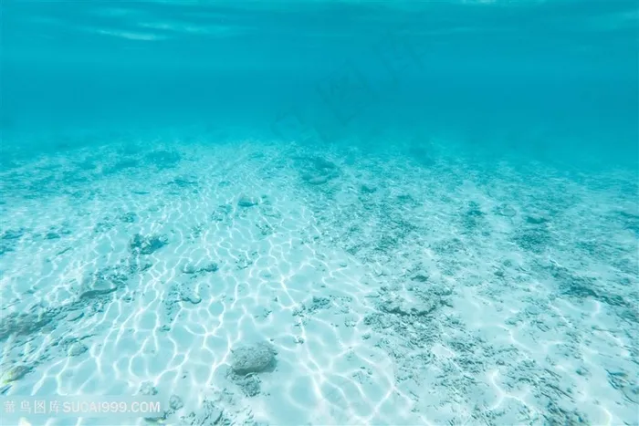清澈浅海底部景色背景