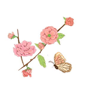 春天浪漫粉红色樱花手绘樱花梅花桃花花朵图片PNG免扣素材