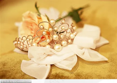 情人节物语-珍珠与粉色玫瑰