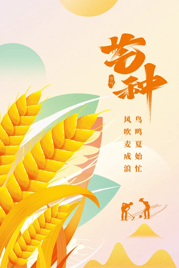 手绘风芒种节气海报