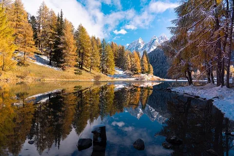 冬天自然背景风景 冬天自然背景风景