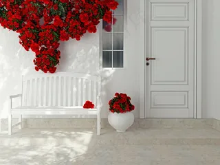 白色房门长椅红花图片