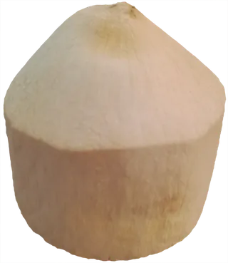 椰青椰子实拍元素素材免抠摄影