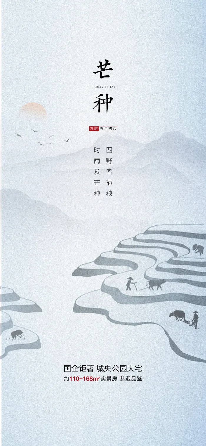 中国传统24节气芒种微信宣传海报