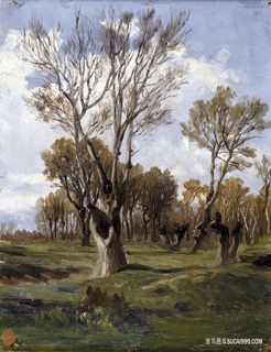 卡洛斯·德普尔塔·德埃罗（马德里）树林美景