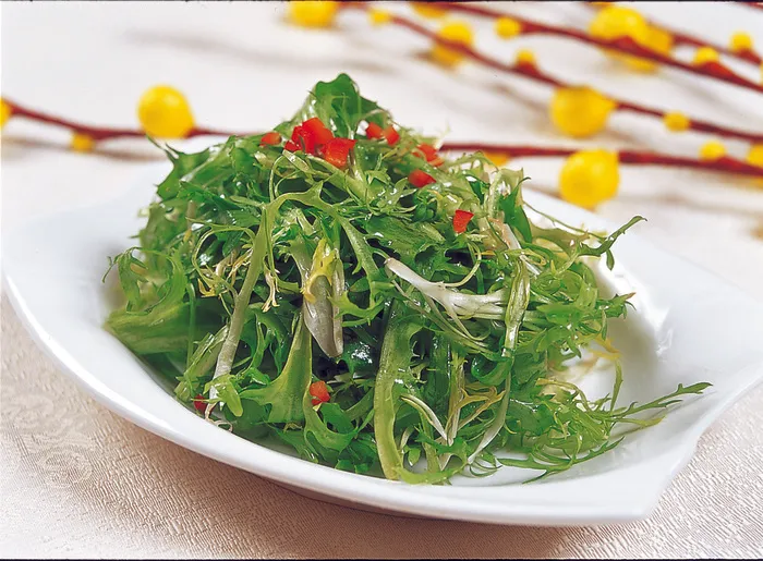 1009LC-0363凉拌苦菊