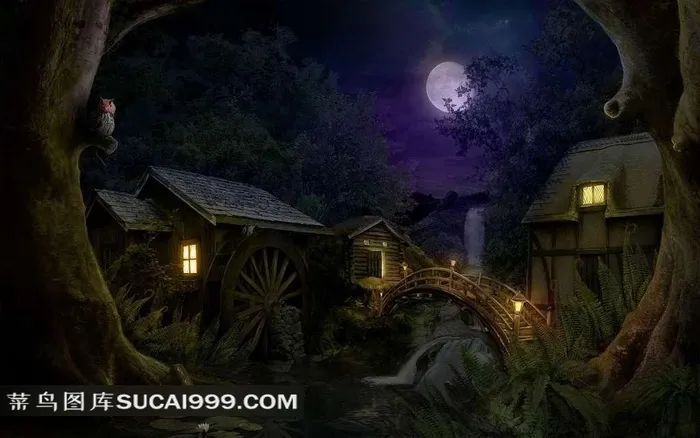 夜晚的村庄树木和月亮