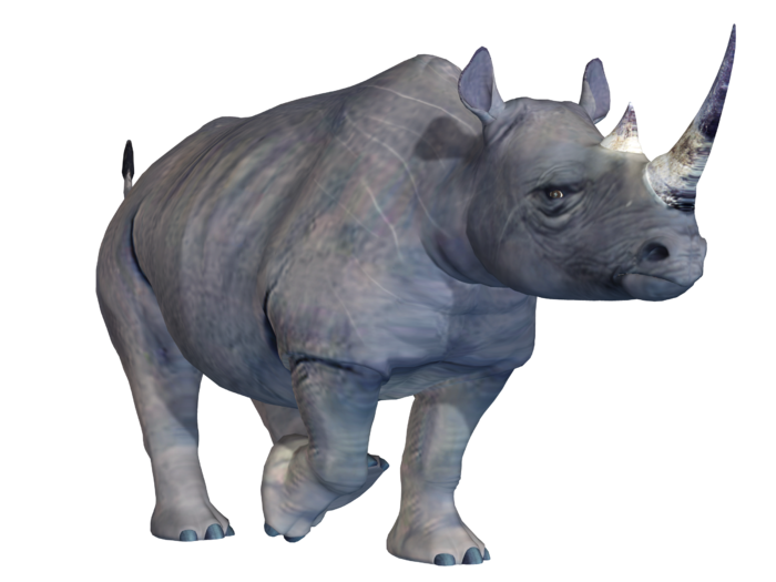 犀牛动物园动物设计素材森林野生