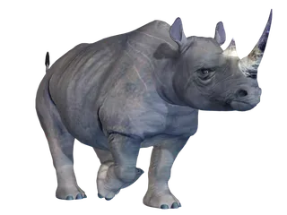 犀牛动物园动物设计素材森林野生