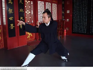 中国功夫之内家拳图片