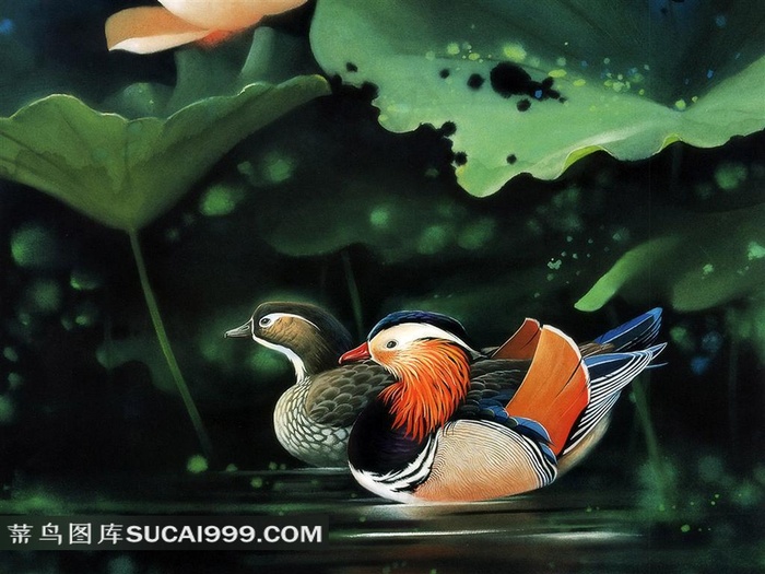 精美鸳鸯插画艺术壁纸
