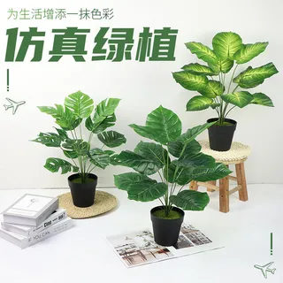 北欧简约绿植盆栽场景(30)