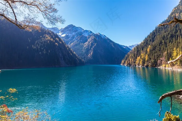 高清湖畔森林风景图片