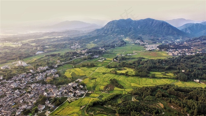 航拍的安徽屏山稻田