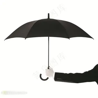 撑雨伞的手势图 撑雨伞的手势图