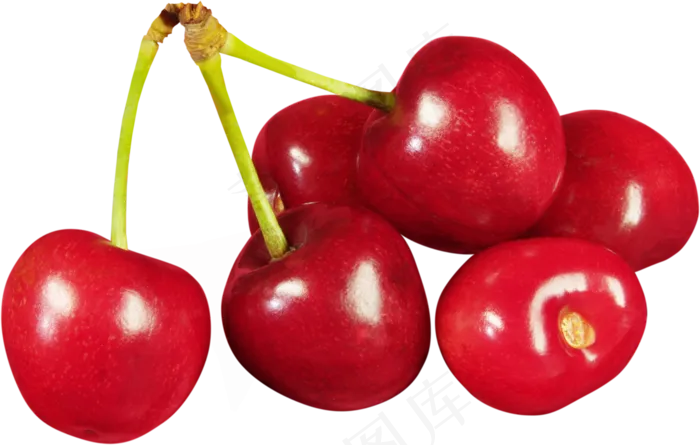 樱桃免抠素材 (9)