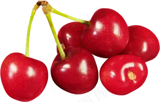 樱桃免抠素材 (9)