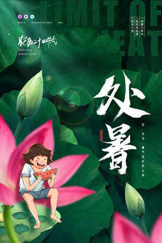 处暑节日海报二十四节气海报设计