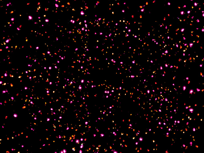 浪漫风光影烟花特效效果图免扣PNG背景图片摄影素材 (36)