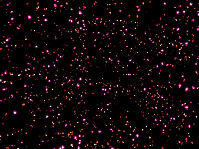 浪漫风光影烟花特效效果图免扣PNG背景图片摄影素材 (36)