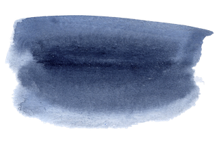 海军蓝金线水彩花卉素材