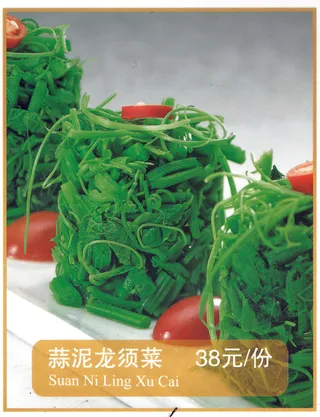 1009LC-0602蒜泥龙须菜