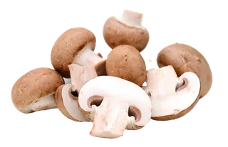 香菇 (4)超市商品白底图免抠实物摄影png格式图片透明底