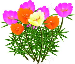 卡通太阳花图片