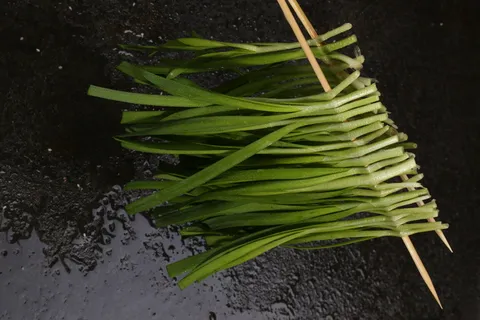 371香浓韭菜 371香浓韭菜