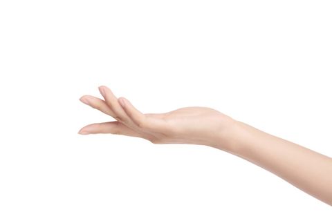 美手  托着的手