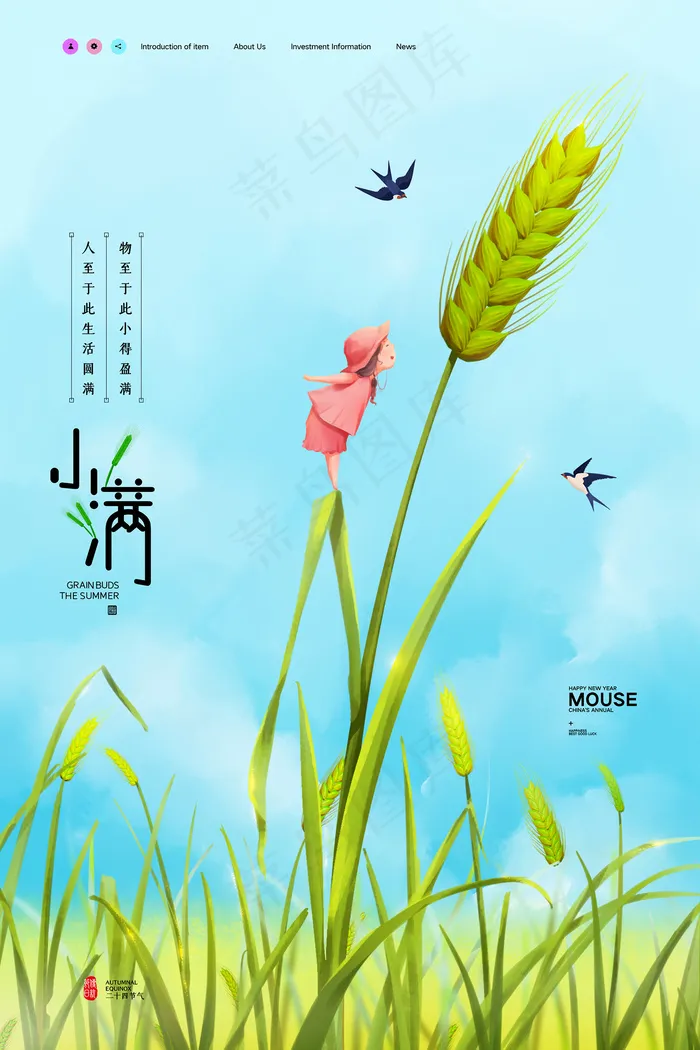 清新二十四节气小满节日海报