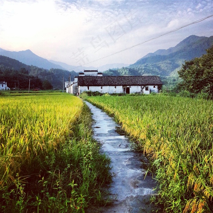 田园风景图片