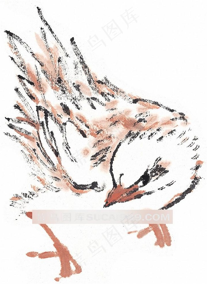 国画鸟系列素材