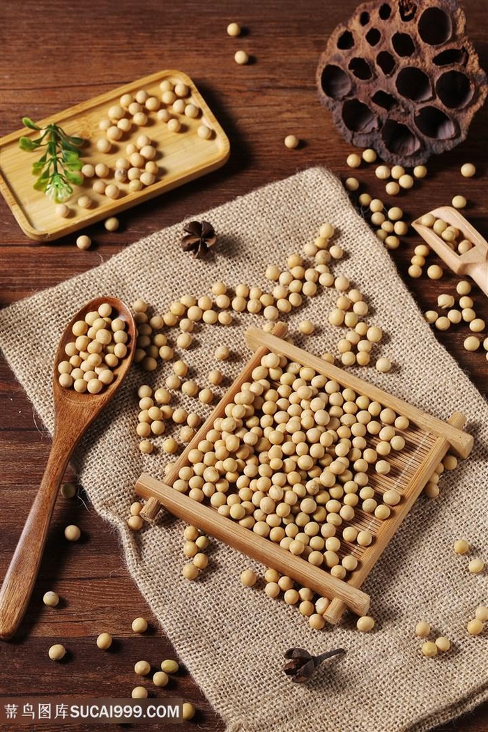 黄豆摄影食材综合