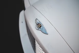 白色宾利汽车标志图片