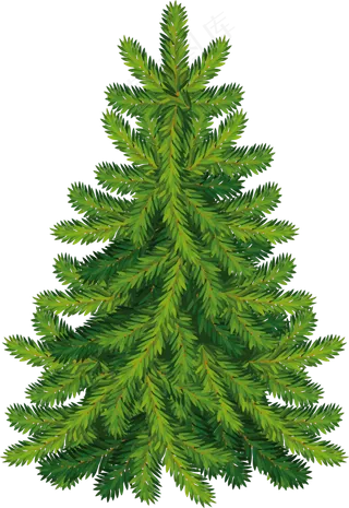 圣诞树免扣png 