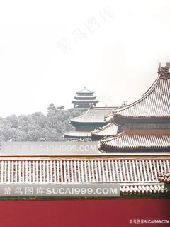 北京故宫景山公园雪景
