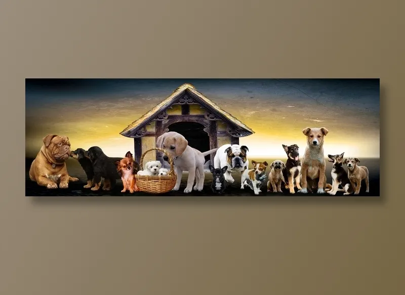 动物, 小狗, 狗窝, 可爱的小狗, 家庭, 朋友们